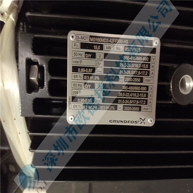 GRUNDFOS格蘭富 電機（單電機無泵）MG160MD2-42FF300-H3 (3)