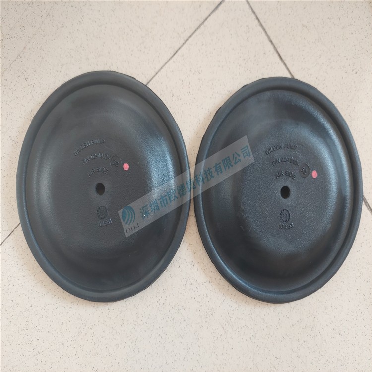 WILDEN隔膜泵 T2AAAABBNSBNABN0014+膜片02-1010-52（一臺泵2片膜數量1圖3